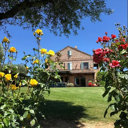La Villa degli Ulivi-3